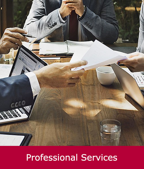 Professional Services