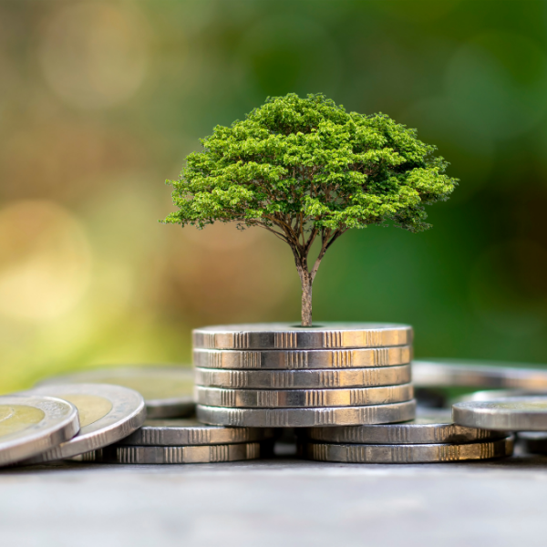 Tree growing out of stack of coins