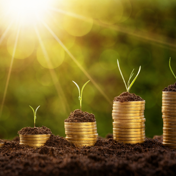 Plants growing out of stacks of coins